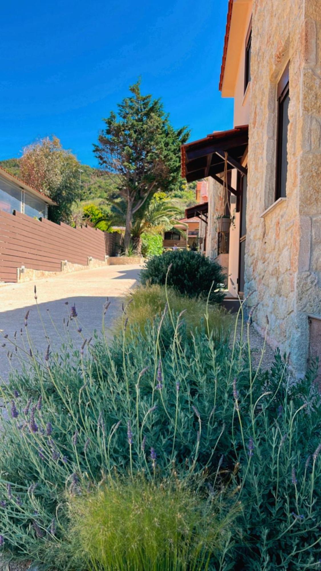 Palma Seaside Villa 1 サルティ エクステリア 写真